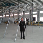 Reinforced strong air inflated plastic film greenhouse