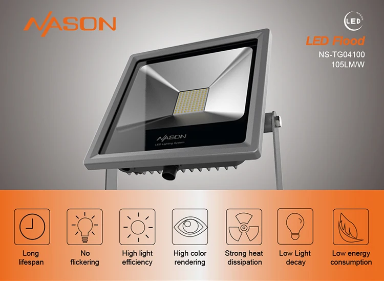 LED Flood TG04100-1