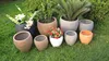 /product-detail/2015-modern-indoor-and-outdoor-decorative-small-round-fiberglass-clay-flower-pot-light-weight-flower-pots-60226652114.html