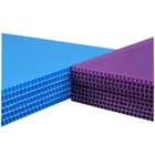 bulk corflute corrugated plastic board/sheet with cheap price