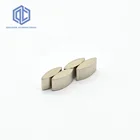customized Special Shaped N45 Super Strong China Neodymium Magnet