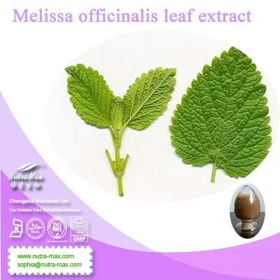 melissa officinalis leaf extract // lemon balm leaf extract 100%