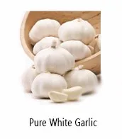 High quality peeled garlic cloves