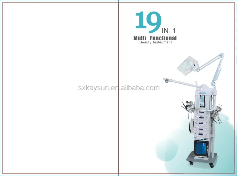 19 in 1 Facial Machine.jpg