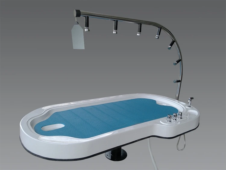 2018 Popular Water Jet Massage Hydrotherapy Spa Water Steam Bed Buy Spa Water Bed,Spa Steam