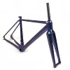 /product-detail/beautiful-gravel-carbon-disc-brake-bicycle-frame-with-chameleon-painting-62192928209.html
