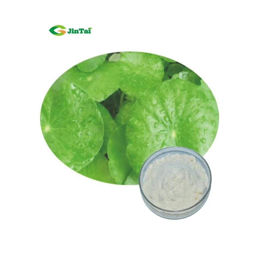 Gotu Kola Extract Powder Madecassoside Asiatic Acid Centella