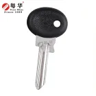 Brass Smart Car Key Blank,custom motorcycle ignition key blanks Manufacturer