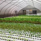 Hydroponic Growing System,100*50 NFT Cultivation Channel for Agriculture Greenhouse