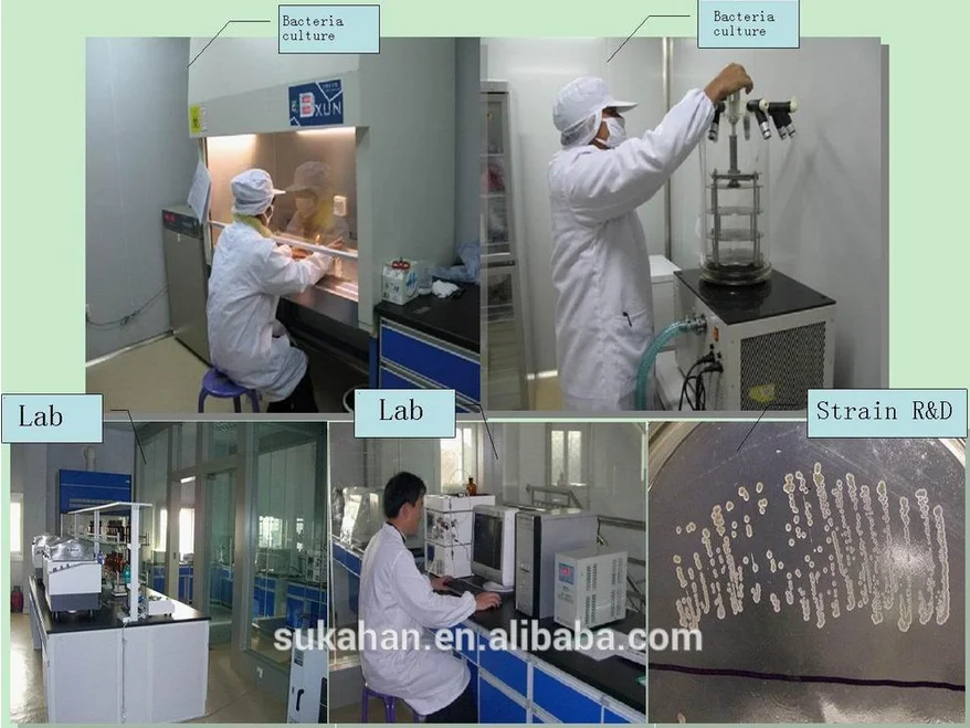 denitrifying bacteria bio-gain denitration product.png
