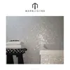 China supplier mother pearl oyster shell mosaic wall tiles