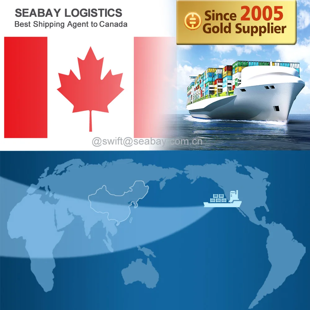 Fast Ocean Freight Forwarder Transportation China