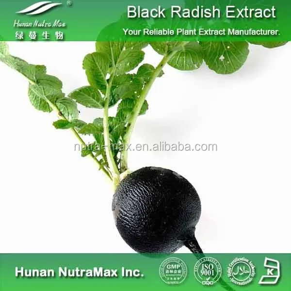 radish extract root