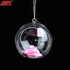Clear Clear Blown Glass Hanging Mini Clear Empty Hand Blown Glass Globe