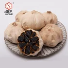 Free samples of dehydrated vegetable organic multi cloves fermented whole bulb black garlic supply