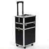 Beauty Carry-On travel trunk aluminum trolley luggage case