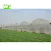 /product-detail/film-multi-span-agriculture-greenhouse-from-china-with-best-price-60741987837.html