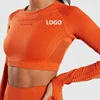 2019 Yoga Top Long Sleeve Seamless Sports Crop Top Custom Logo Gym Wear Women