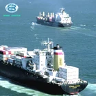 SBS APL COSCO MSK YML Sea Shipping Lines Company Agent Shanghai PIL Freight Forwarder