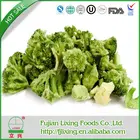 Bulk Freeze Dried Freeze Dried Fd Vegetable Freeze Dried Broccoli 10-20mm - 2017 Top Selling Food