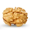 Best Selling Walnuts Kernel with Low Price Walnut for Sale