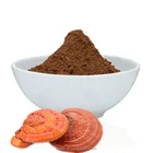 China wholesale reishi mushroom spore powder for weight loss