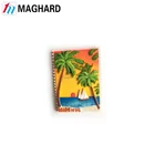 Trade Assurance OEM Customized resin 3d fridge magnets/ tourist souvenir fridge magnets