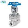 Plug Type Disc NPT SW End steam A105 Globe Valve with Price