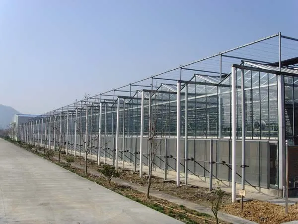greenhouse