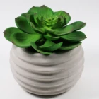Money leaf mini Cement Potted Artificial Succulent Plants