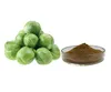 Vegetable kohlrabi extract Broccoli Powder