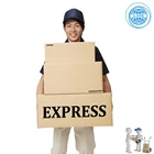 cheap FedEx/DHL/UPS alibaba express Service From China To USA UK