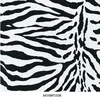 Water transfer printing film animal skin zebra pattern hydrographics printing film for surface treat ment