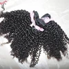 Kiss Locks Raw African Curly Weave Jerry Bouncy afro Curls Virgin Mongolian Hair Wholesaler