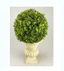 Artificial Faux Topiary Grass Plant D18xH33cm Mini Oregano Ball in Paper Mache Pot