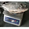 /product-detail/2-cut-tilapia-fish-with-20-glazing-china-seafood-factory-60792357981.html