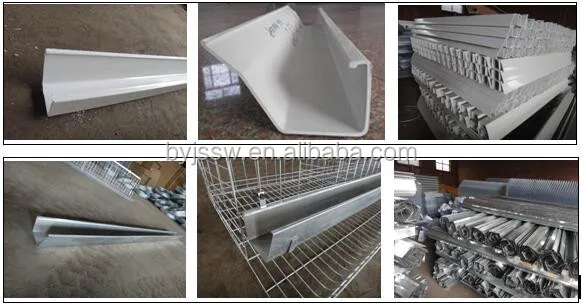 Baiyi China Factory Supply Various Hen/Layer Chicken Cage