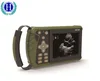 /product-detail/portable-vet-ultrasound-veterinary-products-ultrasonic-diagnostic-equipment-for-animal-60621425737.html