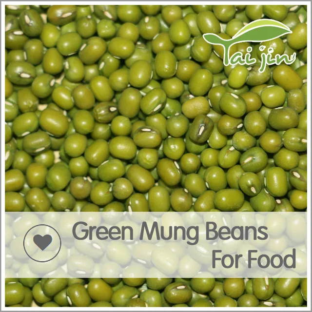 good quality hot sale green mung bean