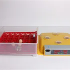 WQ-36 laboratory mini incubator holding 144 quail eggs for sale