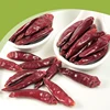 Hot Spicy Dried Red Chilli Pepper Sticks Packing