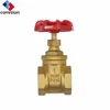 /product-detail/branded-brass-gate-valves-brass-material-bsp-thread-water-gate-valve-60543291667.html