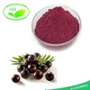 /product-detail/china-supplier-100-natural-maquiberry-maqui-berry-freeze-dried-maqui-berry-powder-wholesale-60815787608.html