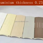 37mm Aluminium Roller Shutter Slat with Foam
