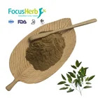 FocusHerb 100% Natural Guava Leaf Extract Powder
