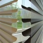 Factory Direct Sale Remote Control Triple Roller Shades