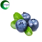 Factory supply 99% Natural Blueberry fruit extract Powder/Organic Blueberry Extract