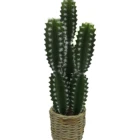 Garden Accents Artificial Cactus in Woven Basket Planter