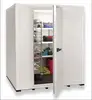 Promotion Frozen Vegetable Refrigerator Fruit Storage Refrigerator Mini Cold Storage Freezing Room
