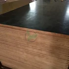 Black Film Faced container flooring plywood